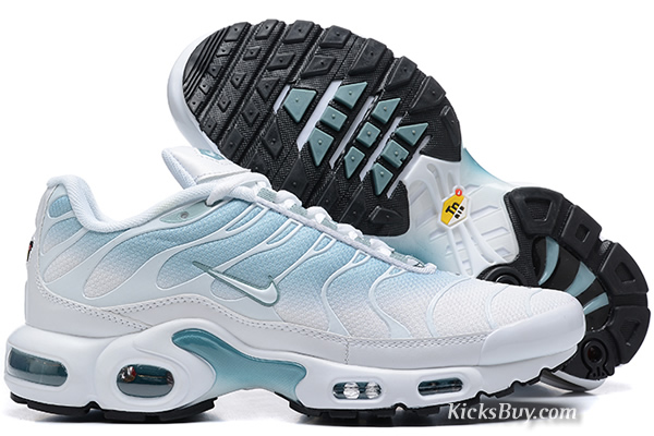 Nike Air Max TN 8909-A119